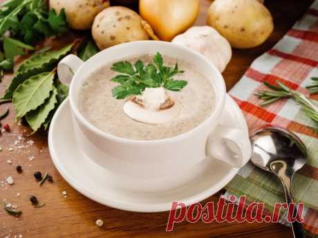 ТОП самых вкусных рецептов крем супов