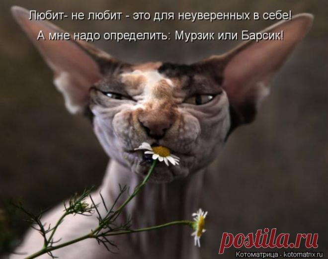 Животные » uCrazy.ru - Источник Хорошего Настроения