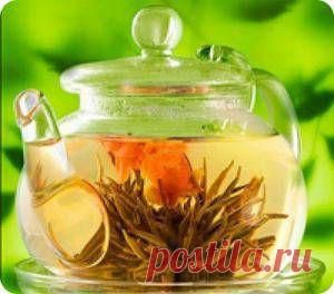 ПРОФИЛАКТИКА ЗАБОЛЕВАНИЙ ПЕЧЕНИ