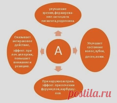 Витамины группы А. — Мегаздоров