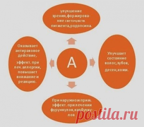 Витамины группы А. — Мегаздоров