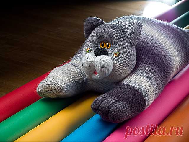 Обними кота!