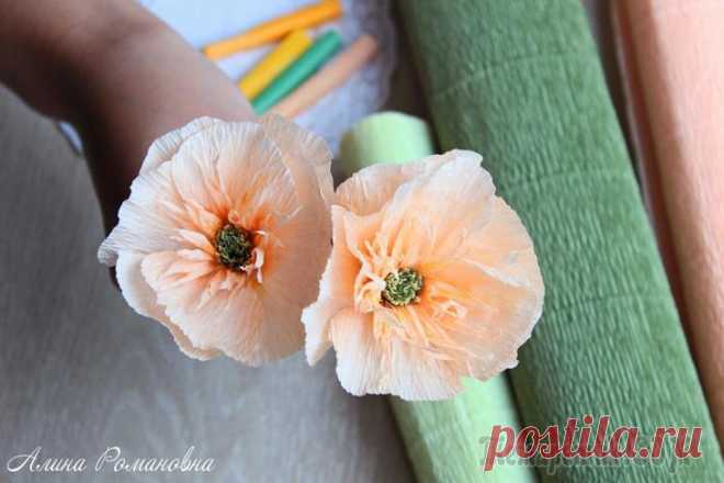Создаем эшшольцию из гофрированной бумаги за 5 минут Всем привет! В этом видео я покажу как сделать нежный и простой цветочек за 5 минут. Я спросила у Вас, дорогие рукодельницы, на какой живой цветочек он похож, поступило много вариантов - мак, анемон, ...