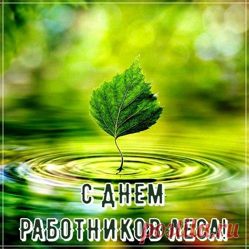 С Днем работников леса!
Пусть вручают награды,
Пусть всегда уважают.
Пусть труд будет отрадой,
А лес мир украшает!