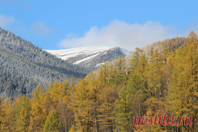 Заповедное Прибайкалье / Western Baikal Protected Areas - Главная | Facebook