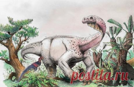 Останки неизвестного вида динозавра обнаружили археологи в Южной Африке | Наука и технологии