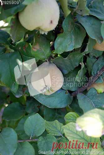 ScandinavianStockPhoto.com