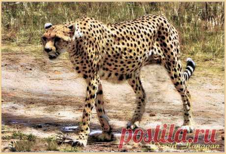Kenya. Explore Arth Wen Photography and Imagery.'s photos on Flickr. Arth Wen Photography and Imagery. has uploaded 6949 photos to Flickr.