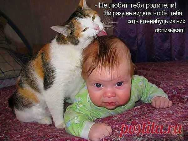 ДАЙ Я ТЕБЯ ПРИЧЕШУ...