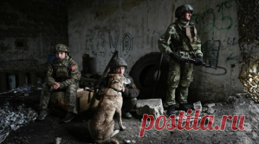 Боец рассказал, что по поведению собаки можно узнать о готовящемся обстреле. Стрелок группировки войск «Восток» с позывным Рыжик рассказал, что собаки на передовой нередко первыми чувствуют приближение артиллерийского обстрела и заранее уходят в укрытие, что служит сигналом для бойцов. Читать далее