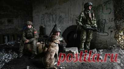 Боец рассказал, что по поведению собаки можно узнать о готовящемся обстреле. Стрелок группировки войск «Восток» с позывным Рыжик рассказал, что собаки на передовой нередко первыми чувствуют приближение артиллерийского обстрела и заранее уходят в укрытие, что служит сигналом для бойцов. Читать далее