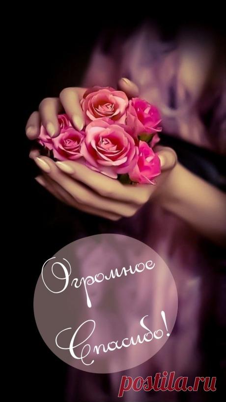 Открытки благодарности «Спасибо»
Основные виды открыток

По стилю оформления:

    Классические — сдержанный дизайн с элегантными шрифтами

    Праздничные — яркие, с элементами торжества

    Тематические — с учетом повода благодарности

    Юмористические — с забавными изображениями

    Минималистичные — лаконичные, стильные