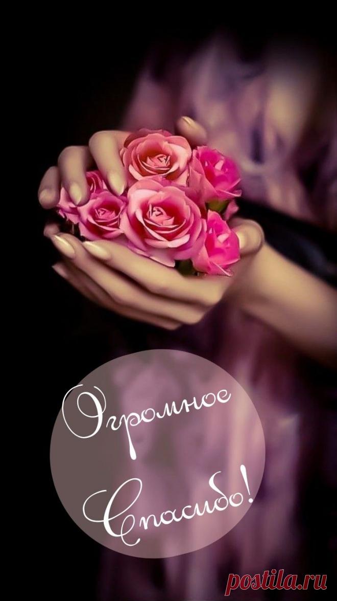 Открытки благодарности «Спасибо»
Основные виды открыток

По стилю оформления:

    Классические — сдержанный дизайн с элегантными шрифтами

    Праздничные — яркие, с элементами торжества

    Тематические — с учетом повода благодарности

    Юмористические — с забавными изображениями

    Минималистичные — лаконичные, стильные