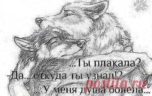 ВЕРНОСТЬ и ЧЕСТНОСТЬ присущи только немногим ...достойным людям! Это слишком дорогой подарок, которого от дешёвых людей ждать не стоит!!!..