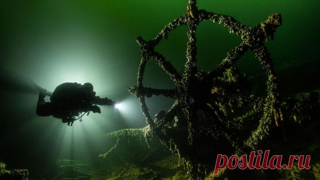 Удивительный водный мир — Мания.инфо