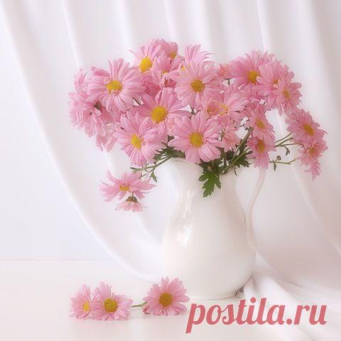 Красивые стихи,поздравления...
Luiza Kandilian