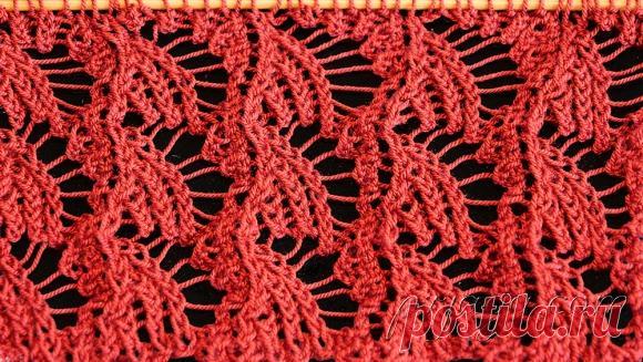 Ажурный узор «Ракушки» спицами