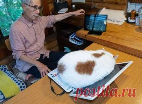 Home / Twitter