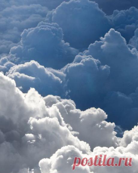 Merri Fernandez приколол(а) это к доске M♥ther Nature