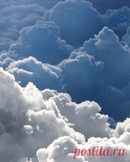 Merri Fernandez приколол(а) это к доске M♥ther Nature