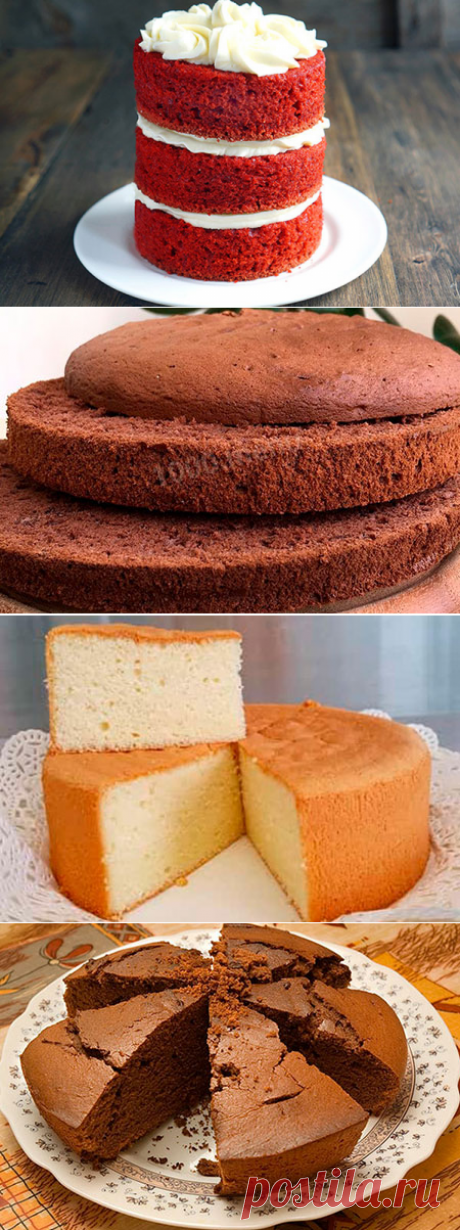 Самые вкусные рецепты классических бисквитов. 7 рецептов
Бисквит – это основа большинства тортов, да и сам он, без крема и джема– отличный десерт к чаю или кофе с молоком. Наверное, нет человека, который бы не любил такое лакомство. Испечь «правильный» бисквит, чтобы он был мягкий, нежный, одинаковый по толщине, дело не такое уж простое. Но, с попытками приходит и опыт. А мы в этой подборке собрали советы, как приготовить классический шоколадный бисквит.