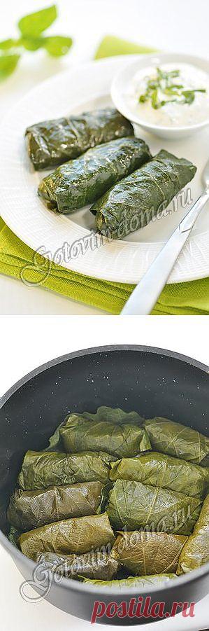 Рецепт: Долма (голубцы в виноградных листьях)