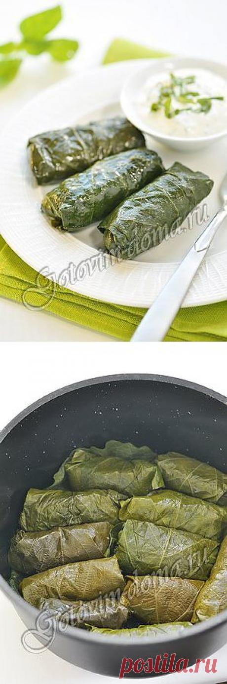 Рецепт: Долма (голубцы в виноградных листьях)
