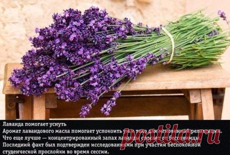 Женская беседка