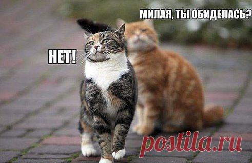 (24) Одноклассники