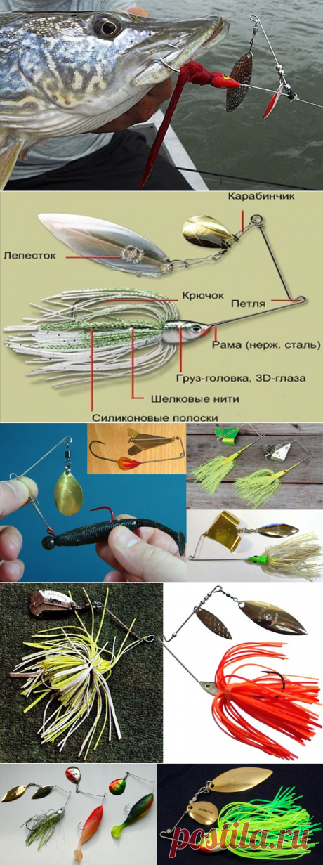Ловля на вертушки и колебалки - «Спиннербейт» – настолько нетрадиционно изготовленная искусственная приманка, что у многих спиннингистов вызывает или улыбку, или непонимание, для чего это вообще предназначено. Лепесток удален от тела приманки, когда в классической оснастке вертушки они рядом.