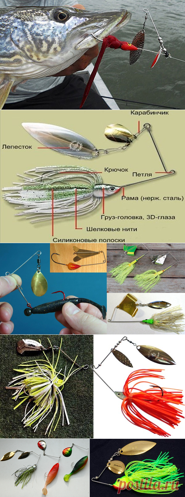 Ловля на вертушки и колебалки - «Спиннербейт» – настолько нетрадиционно изготовленная искусственная приманка, что у многих спиннингистов вызывает или улыбку, или непонимание, для чего это вообще предназначено. Лепесток удален от тела приманки, когда в классической оснастке вертушки они рядом.