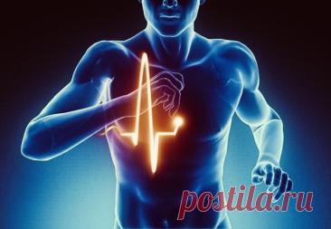 Параграф 23. Подумайте. Вопрос 2 | PortalBio