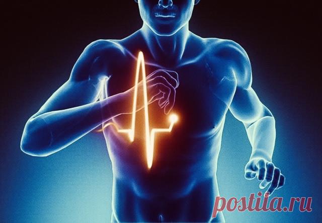 Параграф 23. Подумайте. Вопрос 2 | PortalBio