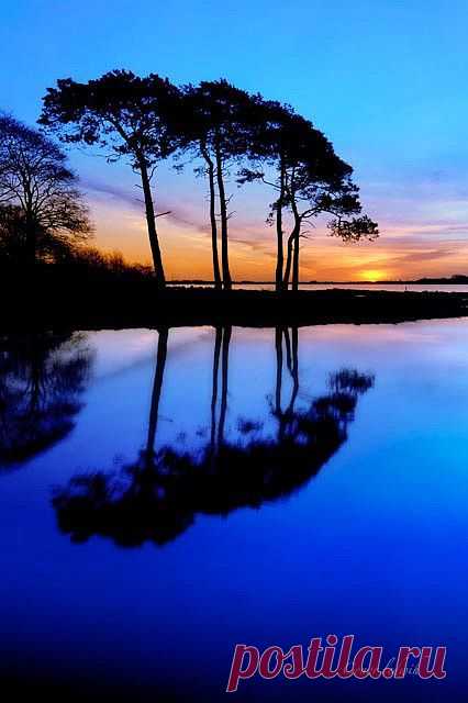 Trees at Sunset  | Пин от пользователя Marie Sheley на доске Beautiful skys & sun sets
