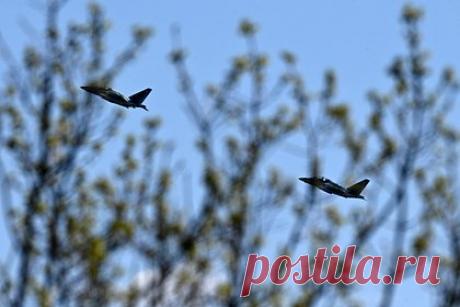 В российском городе зафиксировали неопознанный летающий объект. В районе Твери радары зафиксировали неопознанный летающий объект, был объявлен сигнал «Режим», который подается при выявлении воздушного судна-нарушителя. Об этом сообщает Telegram-канал SHOT. По данным радаров, объект двигался со скоростью около 200 километров в час в сторону Москвы на неустановленной высоте.