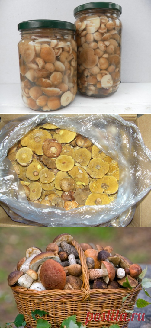 Маслята замороженные маринованные / Простые рецепты