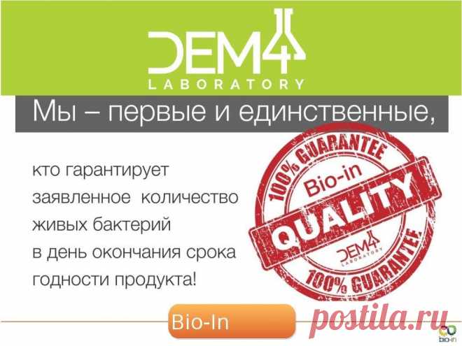 Мы первые и единственные-VISION впереди планеты всей