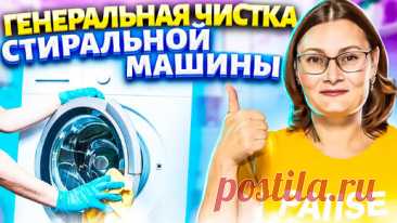 Почистила стиралку от плесени, накипи и запаха! Все благодаря правильно подобранным средствам для чистки. | Марина Жукова, Домохозяйка, Эксперт, Блогер | Дзен