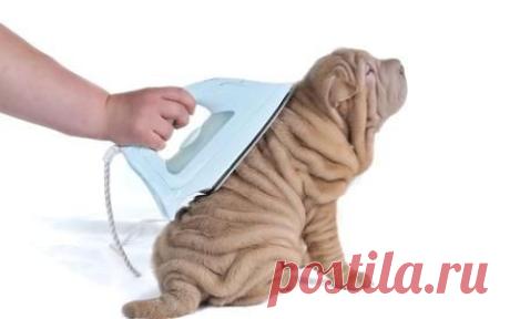 Как почистить утюг? ЭВРИКА! - канифолью!.