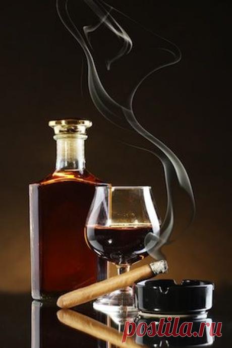 Закуска под коньяк. Чем закусвать коньяк и чем лучше не нужно | Коньяк