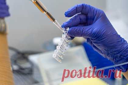 Врачи раскрыли популярное заблуждение о гормоне стресса. По словам врача-эндокринолога Лоуренса Киршнера, «дисбаланс кортизола» не является настоящим диагнозом, но он часто используется, поскольку людям нравится слышать медицинские термины, которые объясняют их плохое самочувствие. Как правило, кортизол связывают утомлением, стрессом, лишним весом и беспокойством.