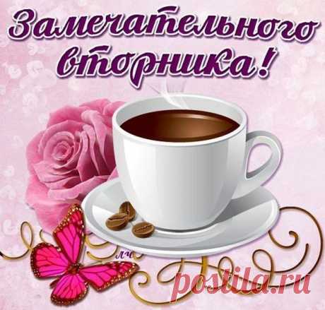 Светлана Волкова