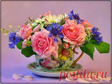 Мой Мир@Mail.Ru