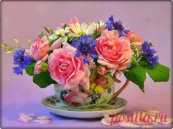 Мой Мир@Mail.Ru