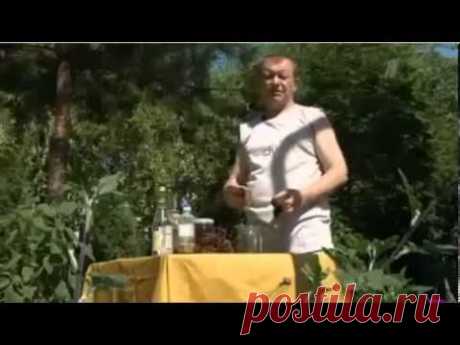 Рецепты очищения и укрепления сосудов народными средствами