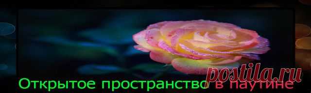 Виртуальное путешествие