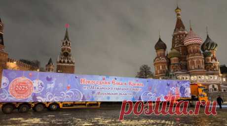 Главную новогоднюю ёлку России привезли на Красную площадь — видео. На Красную площадь привезли главную новогоднюю ёлку России. Дерево спилили в Можайском городском округе, а выбрали по строго установленным параметрам: возраст — 90 лет, высота — 25 м, а размах ветвей — 8 м. Читать далее