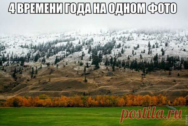 KAZAKH LIFE
