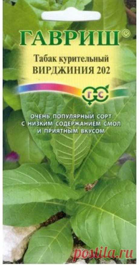 Как садить табак?: Группа Практикум садовода и огородника