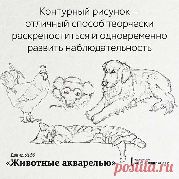 Контурный рисунок - отличный способ творчески раскрепоститься